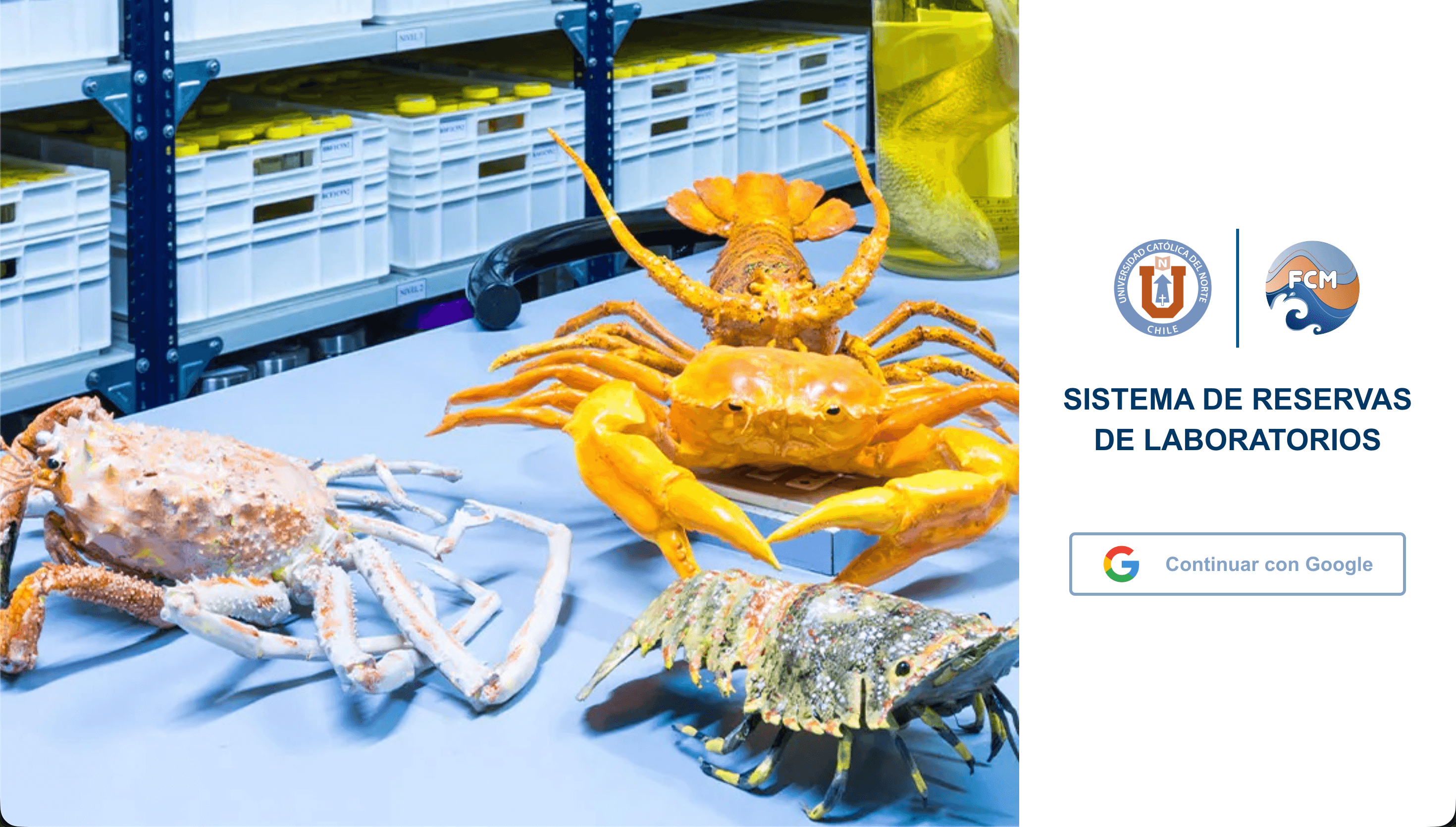 Plataforma de Reservas y Control de Materiales